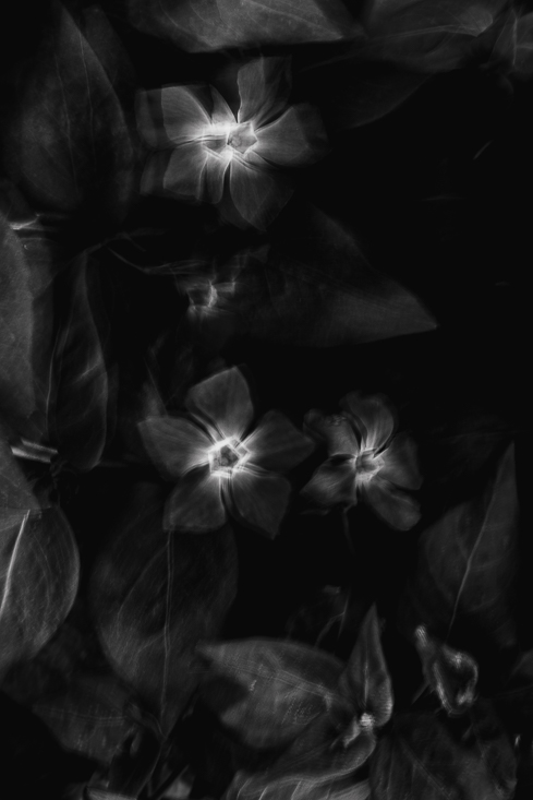 _G3A0725-3