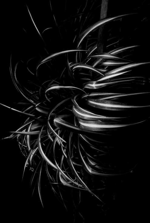 MG_5972-1-(3)