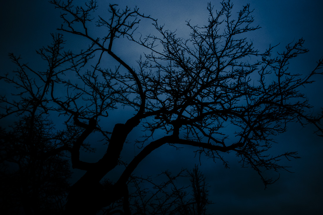 _MG_7894-2